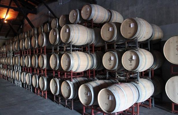 Private Maule Wine Experience Erasmo Winery and Lunch