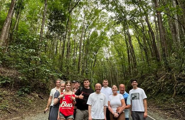 Full Day Private Tour to Bohol Countryside From Cebu City