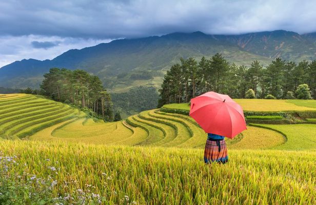 Vietnam Signature 13 Days - Hanoi, Sapa, Halong Bay, Ho Chi Minh