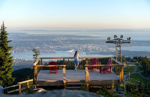 Private Capilano Suspension Bridge and Grouse Mountain Tour