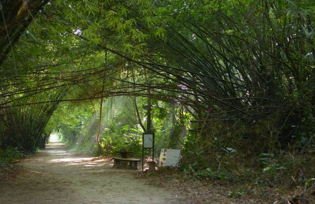 Commewijne Plantation Tour
