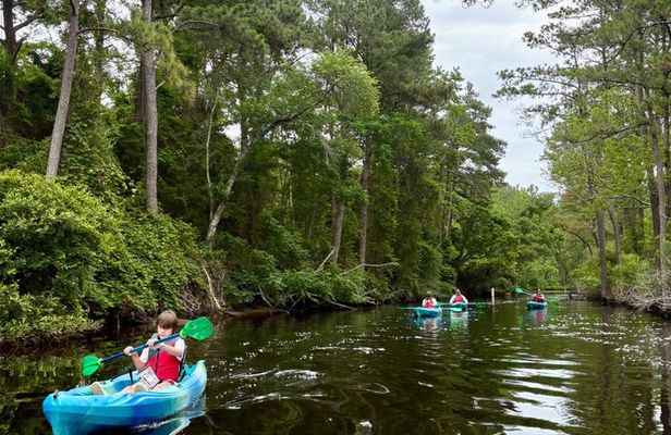 Roanoke Island Kayak Tour