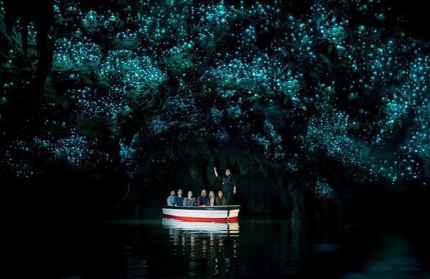 Waitomo Glowworm Caves Guided Tour