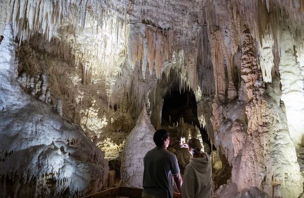 1-Hour Guided Tour of Aranui Cave Waitomo