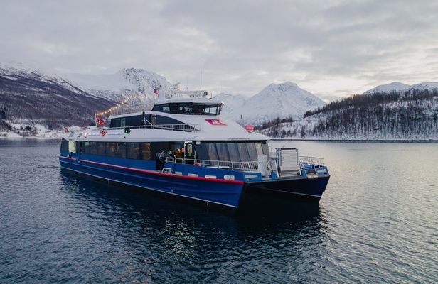 Fjord Cruise from Tromsø Explore Arctic Landscapes and Wildlife