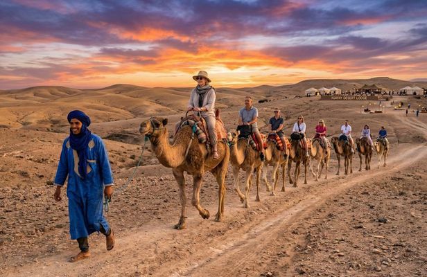 Marrakech: All-In-ONE Agafay CAMEL , DINNER, SHOW & TRANSPORT.