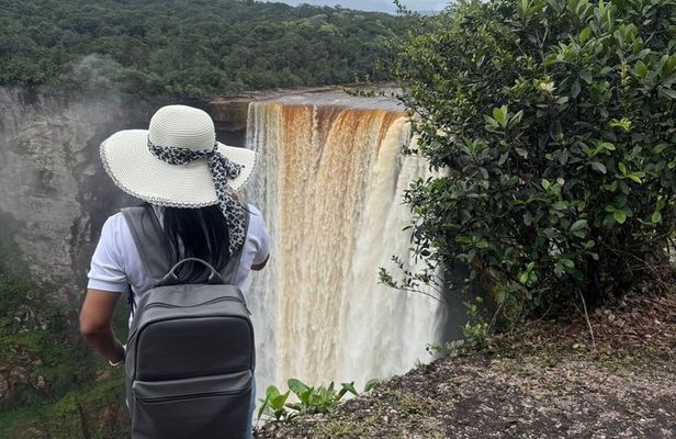 round trip flight to Kaiteur Falls 4 hours