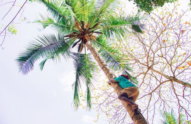 Zanzibar Spice Farm & Stone Town guided Tour (Lunch included)