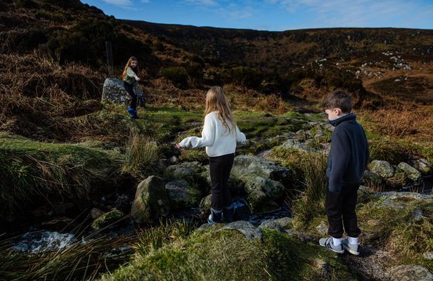 Private Day Tour in Wicklow Mountains and Vacation Photography