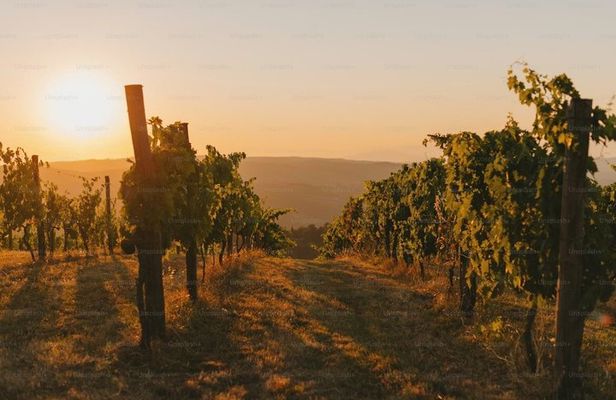 Nemea Wine Tasting Corinth Canal and Ancient Corinth Private Tour