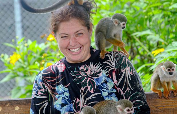 2x1: Monkeys Land Plus Drive a Dune Buggy in Puerto Plata