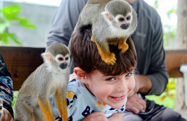 Puerto plata: Waterfalls Monkeys and beach tour Pick up included