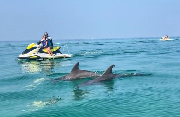 2 Hour Jet Ski Dolphin Tour to Shell Island