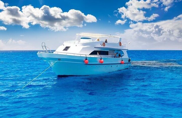 Sharm El Sheikh White Island and Ras Mohamed Cruise Adventure