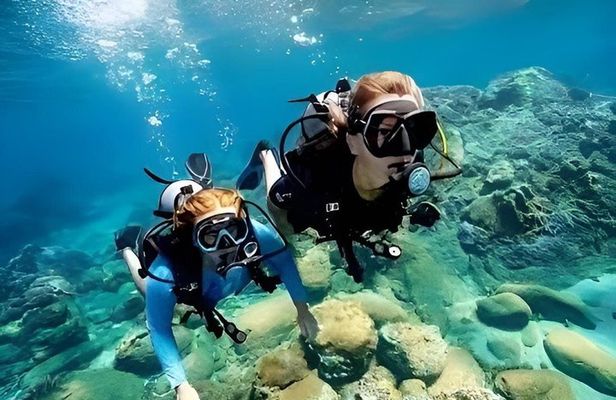 Cham Island Fun Dive Escape from Danang