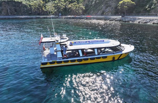 Ultimate Underwater & Coastal Adventure Cruise: 55 Minutes