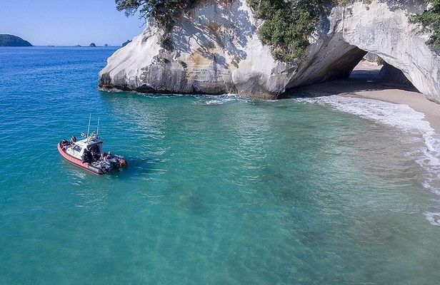 Cathedral Cove Scenic Cruises Explore Caves and Coastline