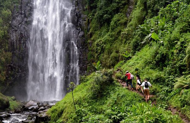 Materuni Waterfall, Chemka Hot Springs, & Coffee Tour