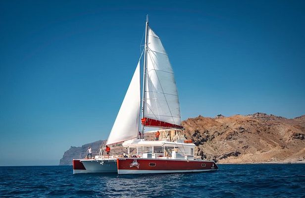 Premium Catamaran Tour from Puerto Rico