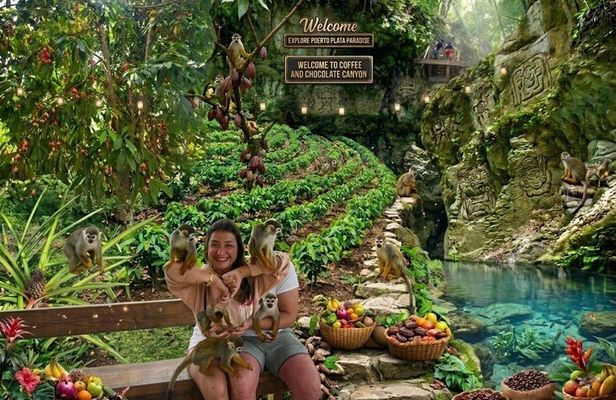 Monkeys, Chocolat and Café Organic Plantation in Puerto Plata