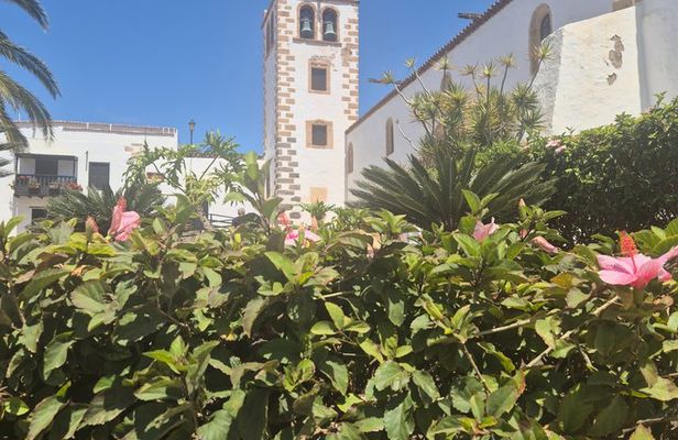 Tour Discover Fuerteventura