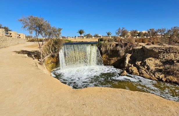 Fayoum Oasis Safari day tour Sandboarding, Breakfast, lunch& Boat