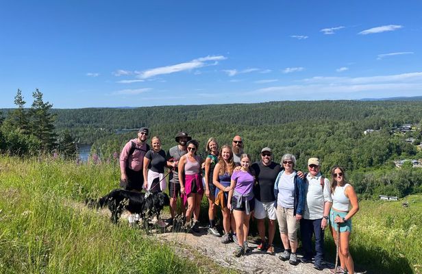 Oslo: Scenic Forest Hike with Dog & Local Guide