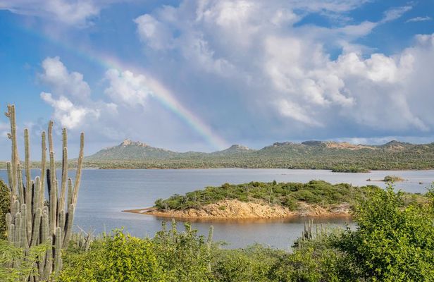 Private Bonaire Tour - All Highlights, Hidden Places, plus Lunch