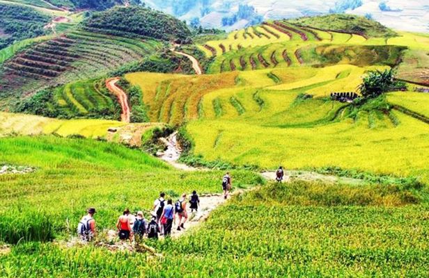 Sapa Trekking Cultural Tour with Cooking Class or Batik Workshop