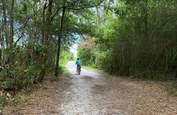 Electric Bike Tour Amelia Island & Big Talbot IS (Small Group)