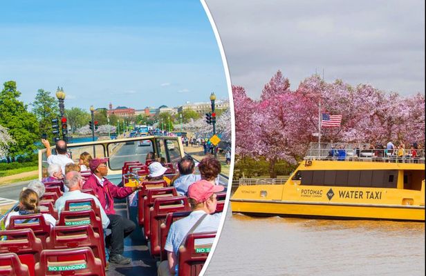 All-Day Water Taxi Pass & Hop-on Hop-off Bus Tour
