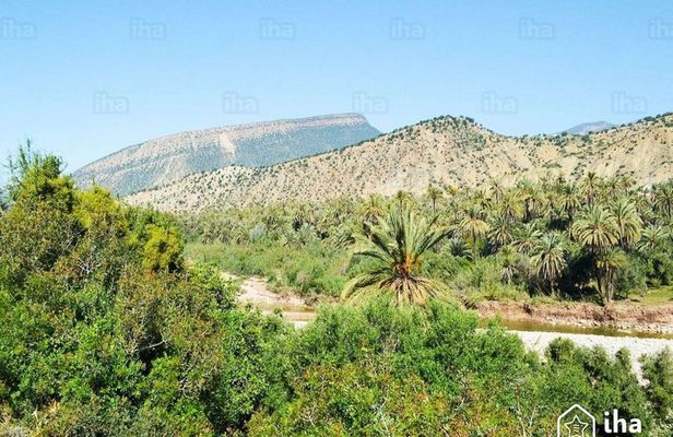 Paradise Valley & Desert Sand Dunes with Camel Ride/lunch