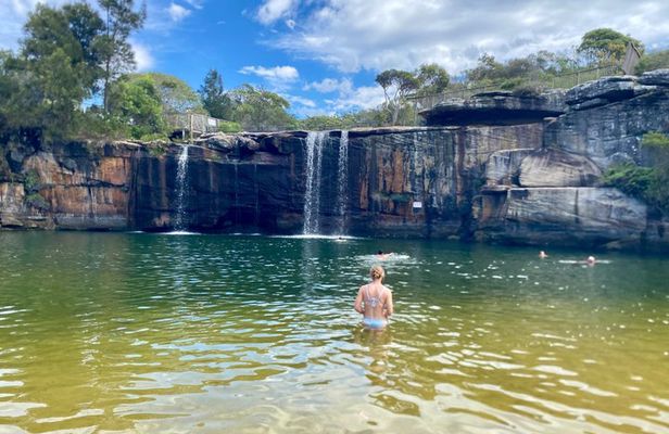 Sydney: Royal National Park Small Group Hike, Swim, Picnic