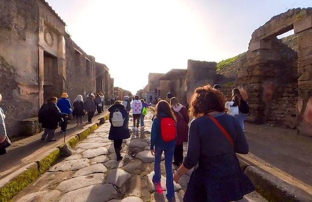 Pompeii and Vesuvius Skip the line Trip from Sorrento or Naples