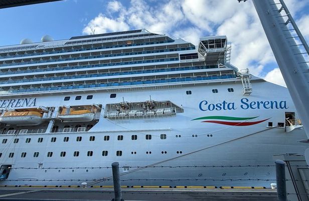 Tokyo 1 Day Private Tour from Cruise Port Walking Experience