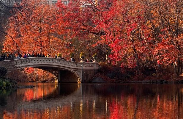 1 hour Discover Central Park Tour on Pedicab