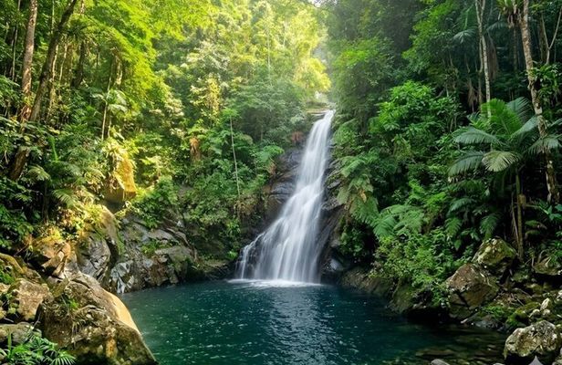 São Paulo Waterfalls Hike Beach View and Chairlift Tour
