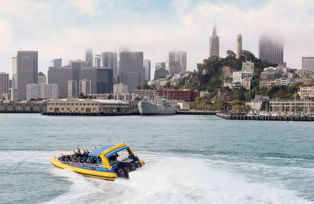 Muir Woods and Sausalito Day Trip Plus Rocket Boat Adventure