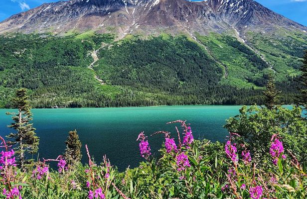 Private Skagway Tour Custom Half Day Charter For Up To 20 People