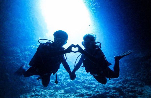 【Okinawa】 Blue Cave Guided Dive No License Needed