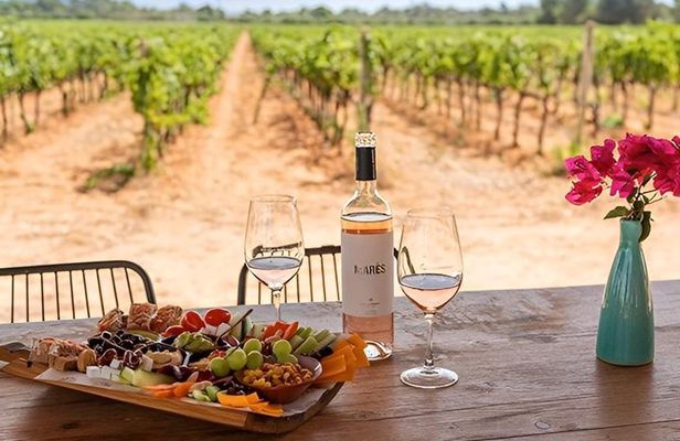 Mallorca Winery tour and tasting of 5 wines with tapas