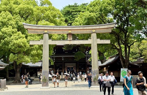 Tokyo Private Half-Day Highlights Tour by Car with Guide