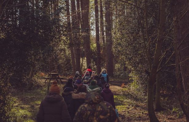 The Woodland Reset Chopwell Woods