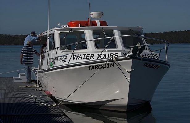 Old Sow Whirlpool and Whale Tours