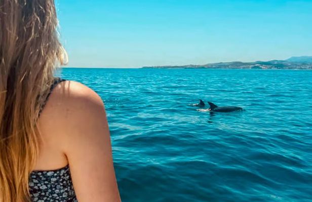 Benalmadena Catamaran : Dolphins, Tapas and Sea Baths 2hrs. 30min.