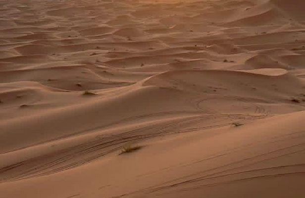 Quad Sand Explorer Merzouga