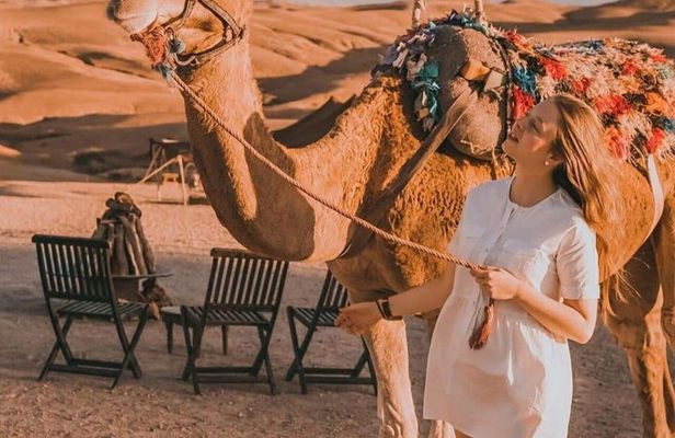 Agafay Desert Dinner and Camel Ride from Marrakech