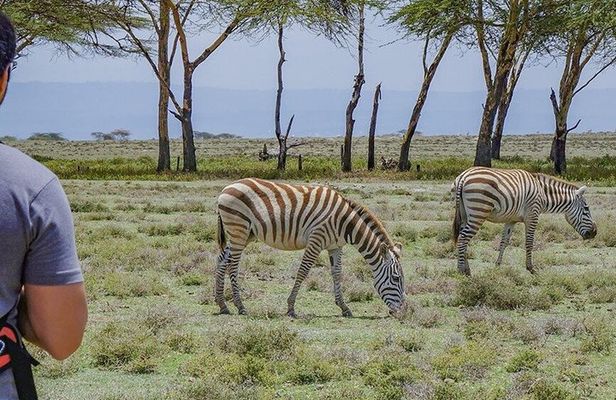 Crescent Island Naivasha Day Tour from Nairobi