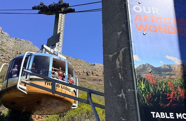 Table Mountain Tour Tickets and Transfers