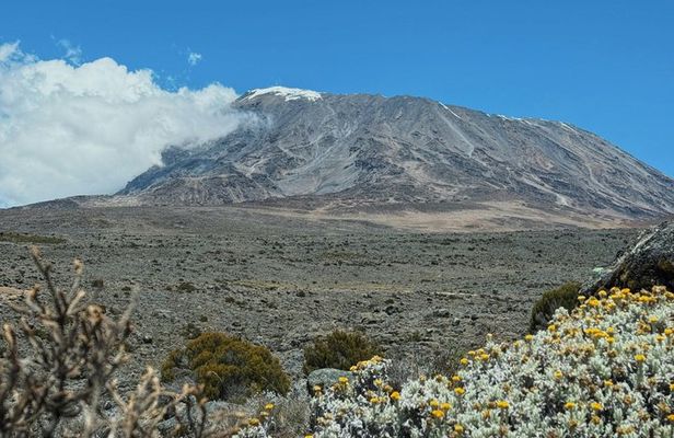 7 Day Kilimanjaro Climb Via Machame Route Whiskey Route